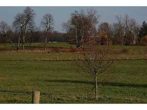 269 Cambrian Rd, Cable, OH 43009 photo 20
