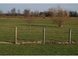 269 Cambrian Rd, Cable, OH 43009 photo 19