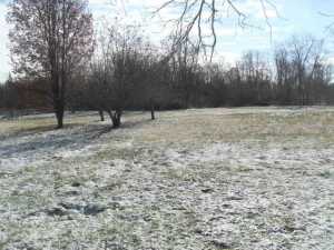 138 Main Rd, Delaware, OH 43015 photo 7