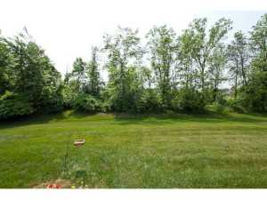 8512 Maple Leaf Ct, Powell, OH 43065 photo 24