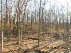 4315 Summitview Rd, Dublin, OH 43016 photo 18