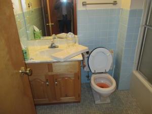 446 Buckingham Ln, Lancaster, OH 43130 photo 19