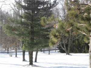 6840 Coonpath Rd, Carroll, OH 43112 photo 2
