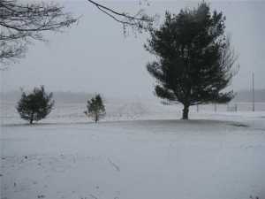 646 Caldwell Rd, Bucyrus, OH 44820 photo 22