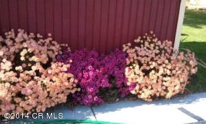 421 Marion Cardington Rd E, Marion, OH 43302 photo 17