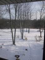 8379 Riverside Dr, Powell, OH 43065 photo 8