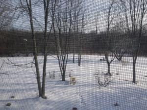 8379 Riverside Dr, Powell, OH 43065 photo 7