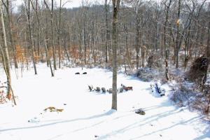 16280 Collison Rd, Logan, OH 43138 photo 4