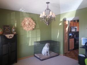 770 Salinger Dr, Lithopolis, OH 43136 photo 7