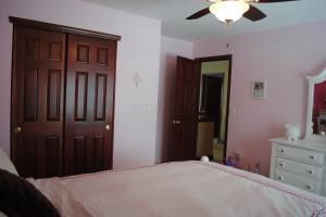 118 Ruby Red Ln, Delaware, OH 43015 photo 31