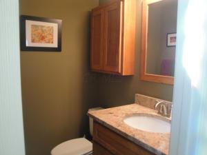 108 Chenango Dr, Powell, OH 43065 photo 6