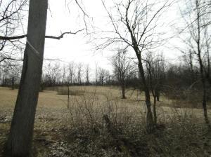 5681 E State Route 296, Cable, OH 43009 photo 21