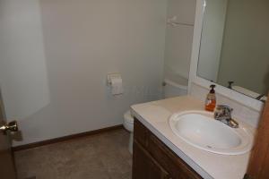 481 Applegate Ln, Delaware, OH 43015 photo 10