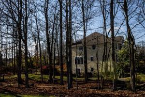 1307 Berkeley Ct, Powell, OH 43065 photo 50