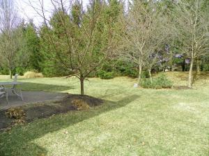 7488 Maynooth Dr, Dublin, OH 43017 photo 32