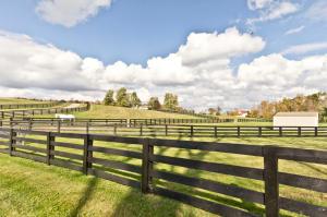3851 Corner Rd, Alexandria, OH 43001 photo 13
