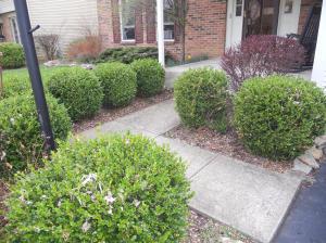 6989 Celtic Ct, Dublin, OH 43017 photo 2