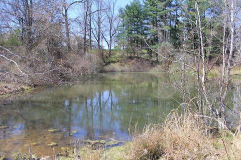 30100 Blosser Rd, Logan, OH 43138 photo 8