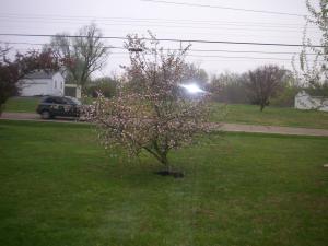 320 W Columbus St, Lithopolis, OH 43136 photo 42