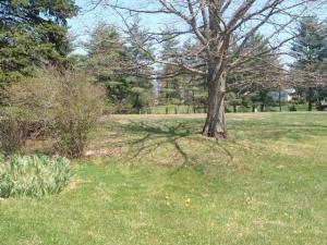 11744 State Route 56 E, Circleville, OH 43113 photo 4