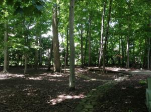 5564 Caplestone Ln, Dublin, OH 43017 photo 21