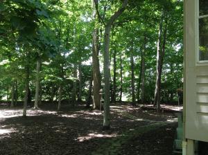 5564 Caplestone Ln, Dublin, OH 43017 photo 3