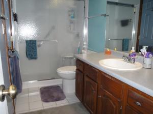 217 Old Spring Ln, Dublin, OH 43017 photo 22