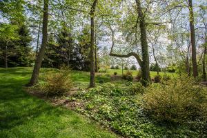 5528 Caplestone Ln, Dublin, OH 43017 photo 54