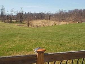6081 Plummer Rd, Carroll, OH 43112 photo 13