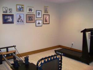 8348 Steitz Rd, Powell, OH 43065 photo 66