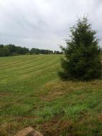 455 Clear Run Rd, Delaware, OH 43015 photo 6