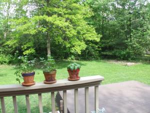 8718 Blessing Dr, Powell, OH 43065 photo 31