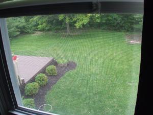 8718 Blessing Dr, Powell, OH 43065 photo 17