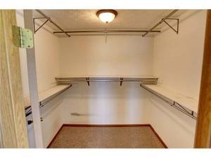 6253 Steitz Rd, Powell, OH 43065 photo 16