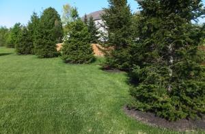 7835 Maple Run Ln, Powell, OH 43065 photo 19
