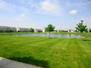 5530 Spring River Ave, Dublin, OH 43016 photo 4