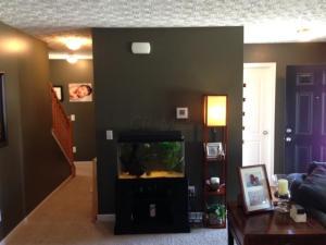 5530 Spring River Ave, Dublin, OH 43016 photo 7