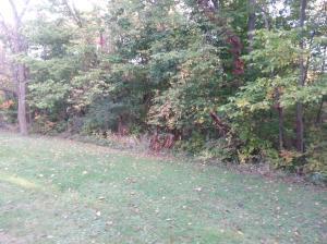 9580 Dublin Rd, Powell, OH 43065 photo 50