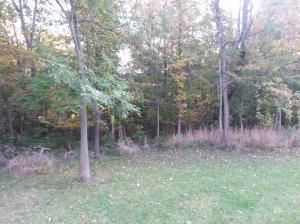 9580 Dublin Rd, Powell, OH 43065 photo 43