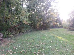 9580 Dublin Rd, Powell, OH 43065 photo 46