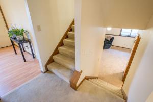 1801 Ibson Dr, Powell, OH 43065 photo 16
