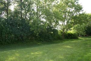5023 Silver Saddle Ct, Dublin, OH 43016 photo 18