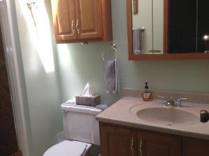 7848 Sethwick Rd, Dublin, OH 43016 photo 19