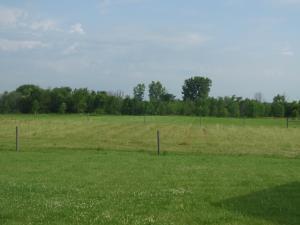 9252 Long Rd, Ostrander, OH 43061 photo 8