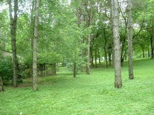 153 Main Rd, Delaware, OH 43015 photo 14