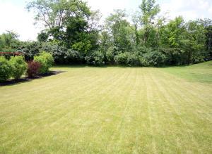 7828 Maple Run Ln, Powell, OH 43065 photo 21