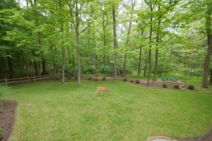555 Quails End, Powell, OH 43065 photo 25