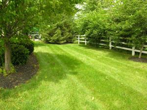 4871 Rays Cir, Dublin, OH 43016 photo 14