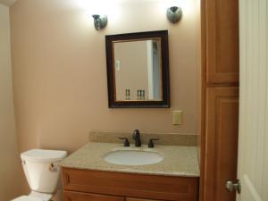207 Emerald Ice Loop, Delaware, OH 43015 photo 35