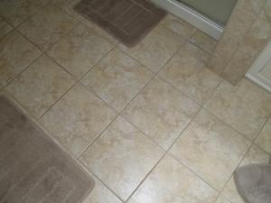 207 Emerald Ice Loop, Delaware, OH 43015 photo 10